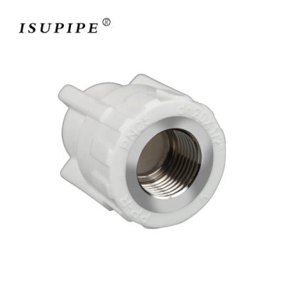 Plumbing Material PPR Pipe Fitting PPR Female Threaded Coupling Female Adapter